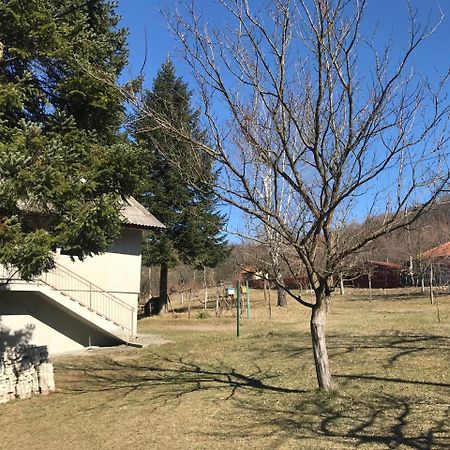 ואליג'בו Apartman “Reka Gradac” מראה חיצוני תמונה